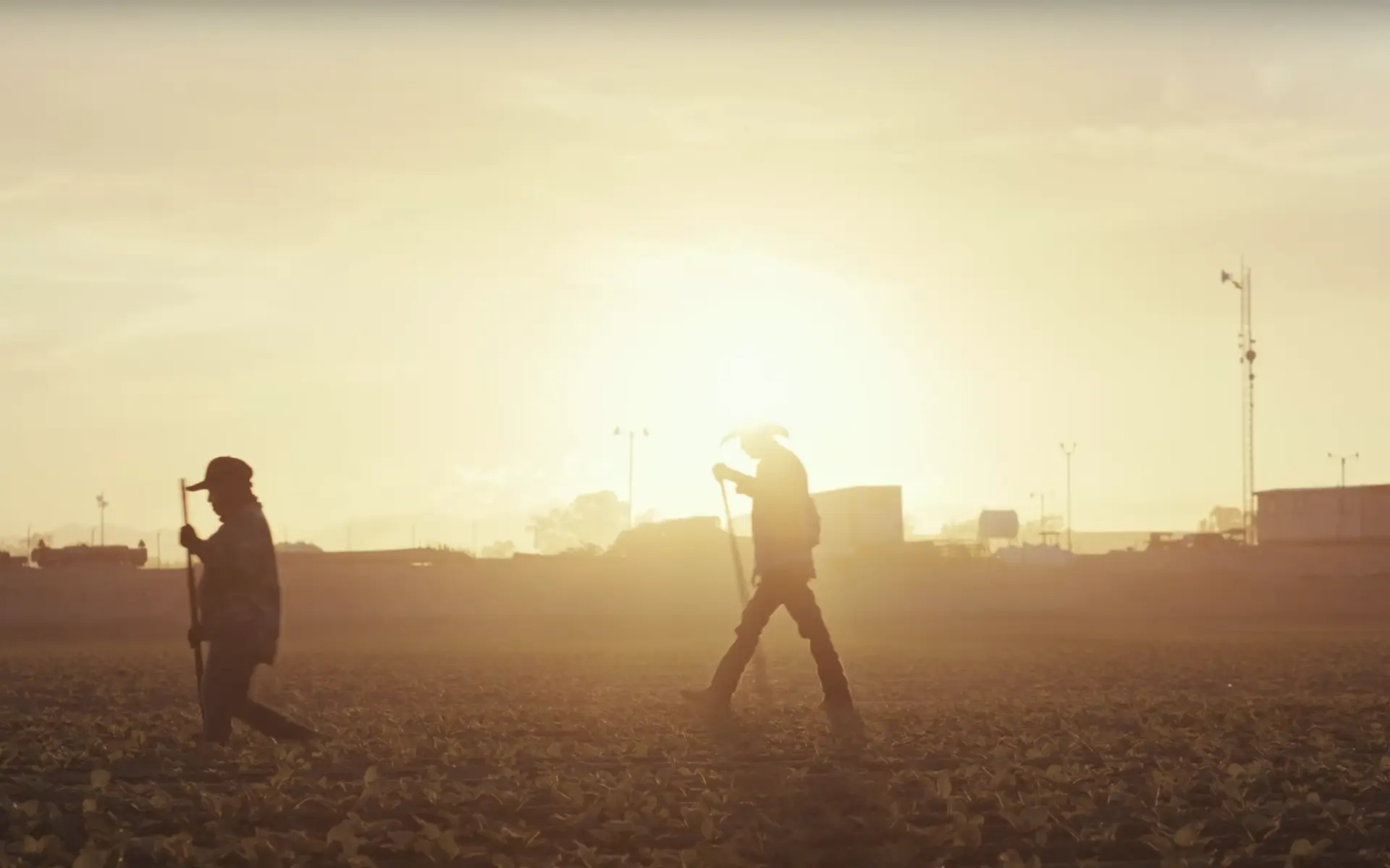 Two figures, silhouetted against a golden sunrise, walk across a flat, plowed field.