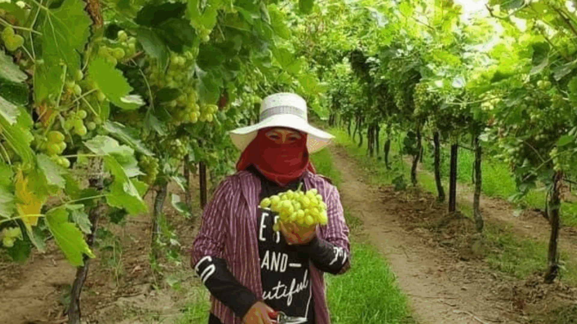A woman wearing a hat and face mask is smiling while holding a cluster of grapes in her hands.