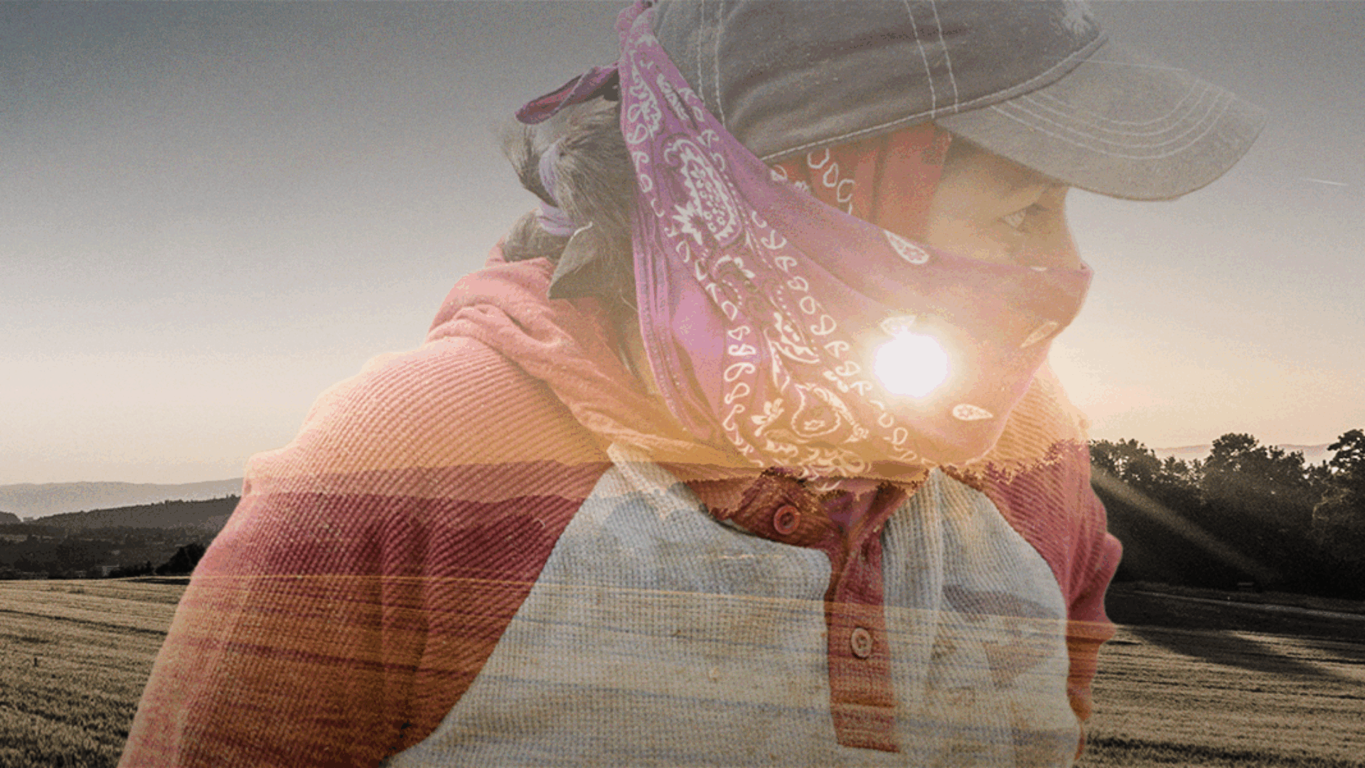 A sunlit figure wearing a cap and patterned scarf faces a golden field at sunset, symbolizing resilience and harmony with nature’s calm beauty.