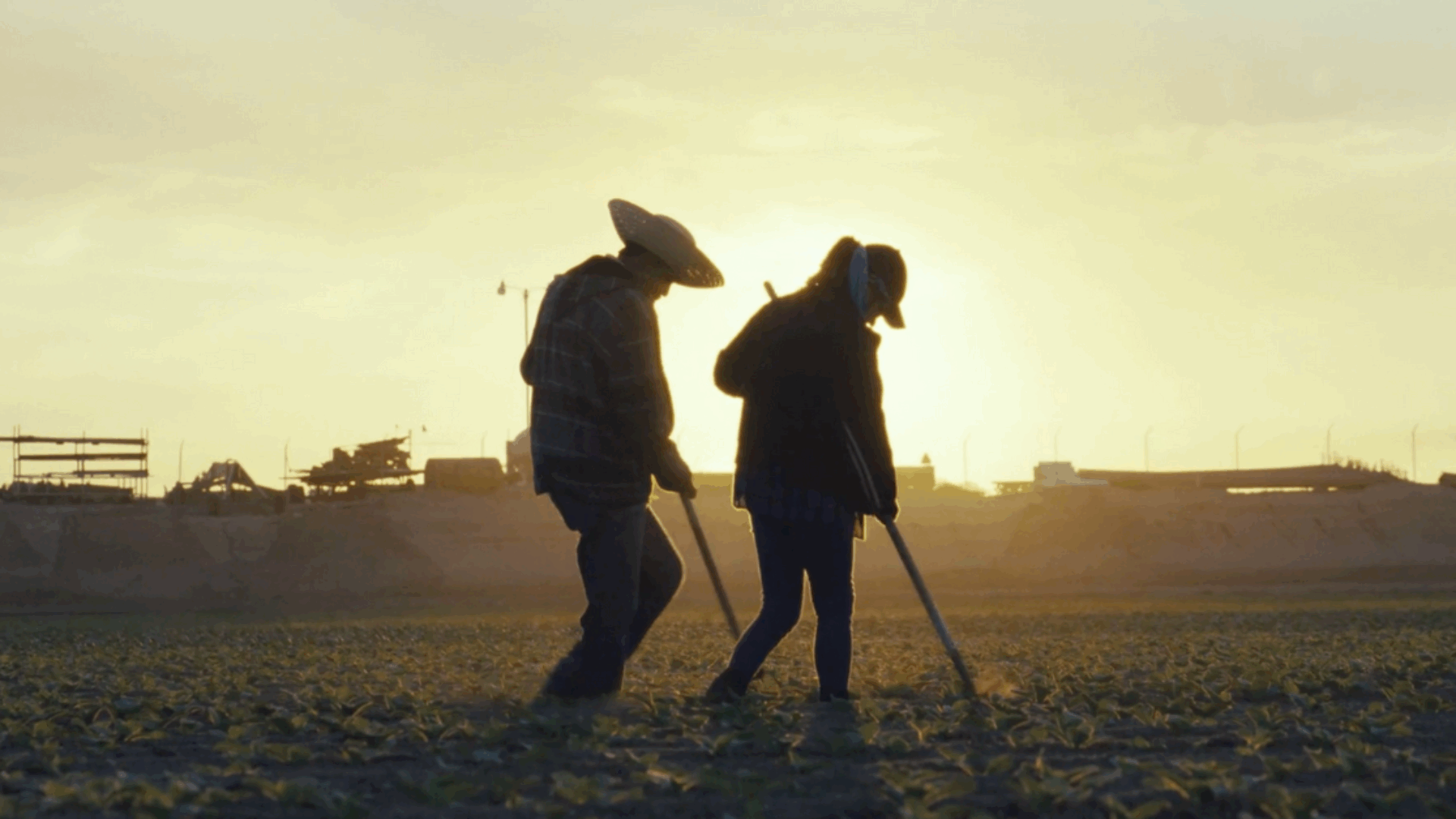 Una puesta de sol proyecta un cálido resplandor sobre dos personas con sombrero que trabajan en un campo.