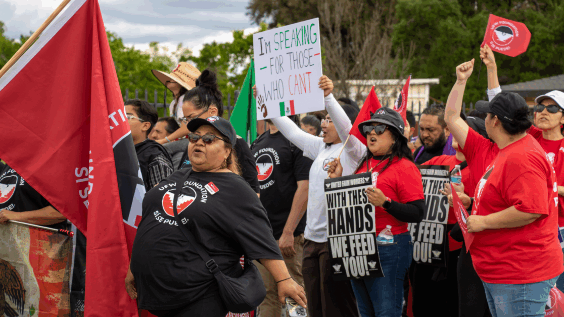 A crowd of individuals with various signs and flags, united in a demonstration for social change.