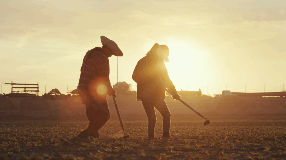 Dos personas con sombreros trabajan en un campo durante un atardecer vibrante.