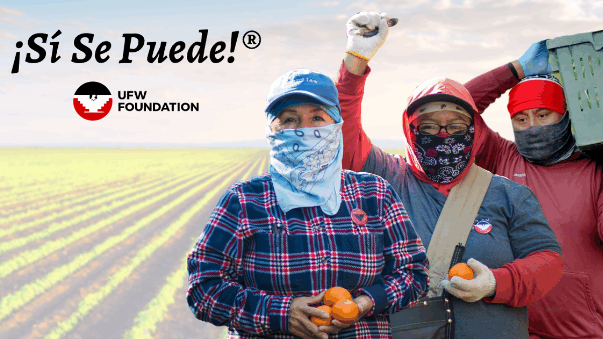 Full outdoor shot of three women, likely farm workers, in a field.