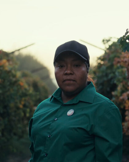 A woman dressed in a green shirt stands in a vineyard, surrounded by rows of grapevines.